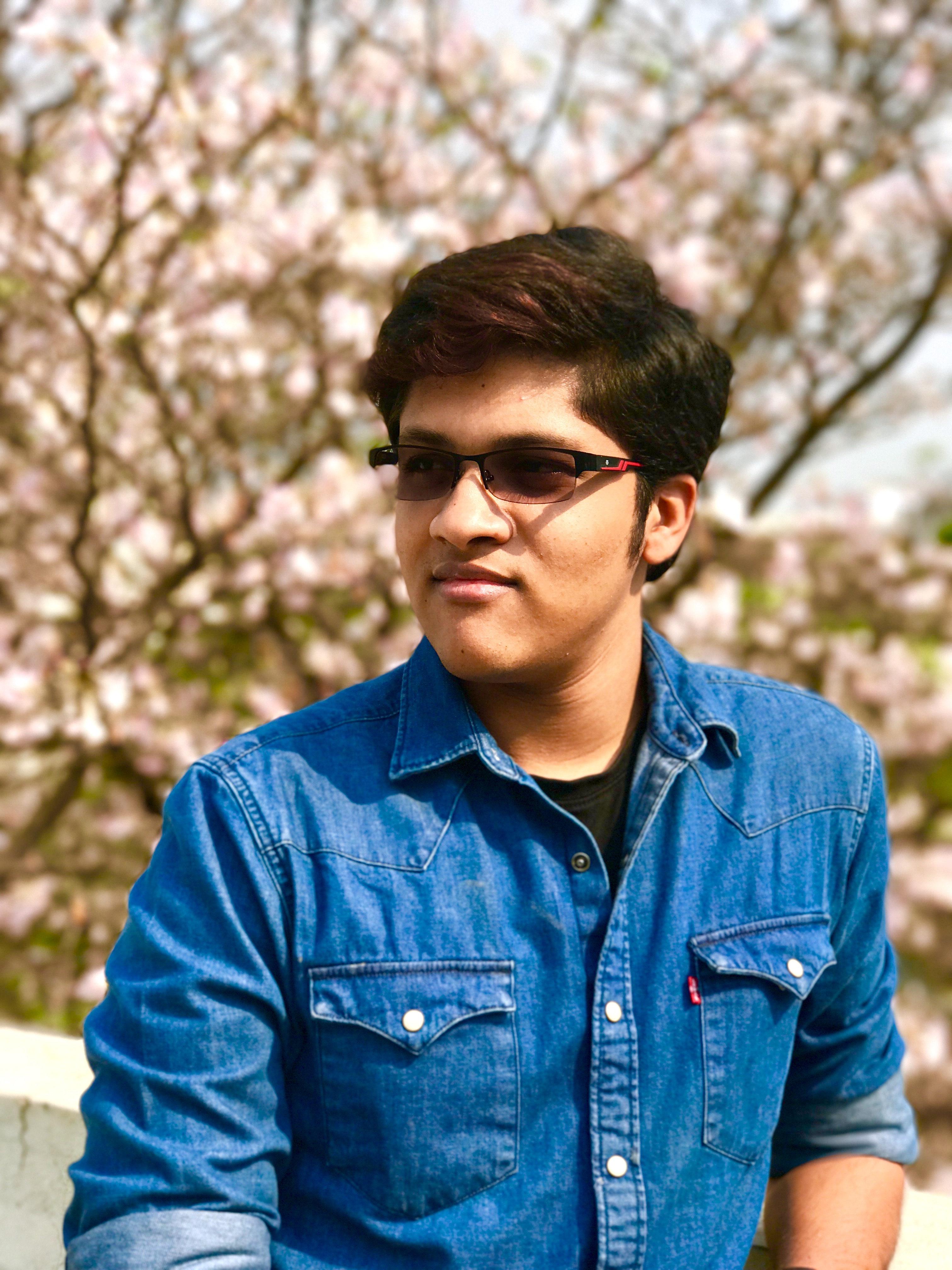 Vikash Koushik